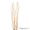 Uniquewise 12 pcs Natural Decorative Dry Branches Authentic Mulberry Sticks, 70 in, peeled white QI004415.M.WT.70 - alternate 5